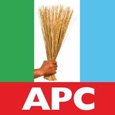 Photo of APC Flag